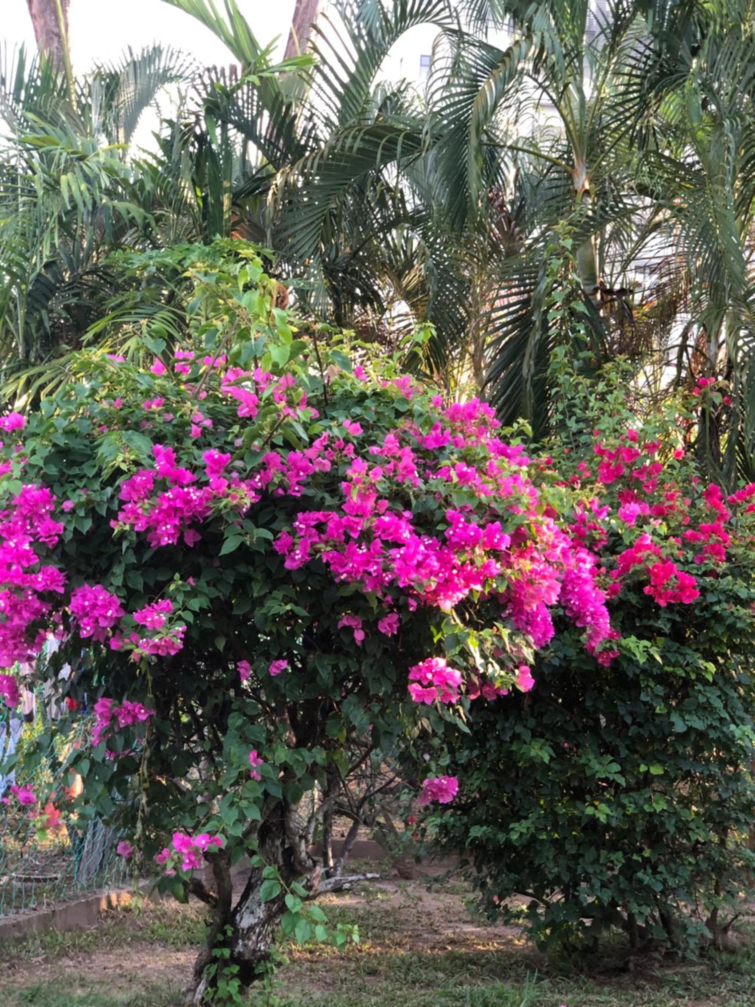 شقة Shaka Garden House Langkawi بانتايْ تْشينانغ المظهر الخارجي الصورة